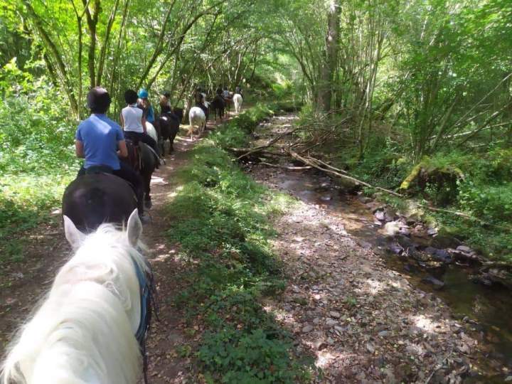 Accueil cavalier-randonnée Creuse