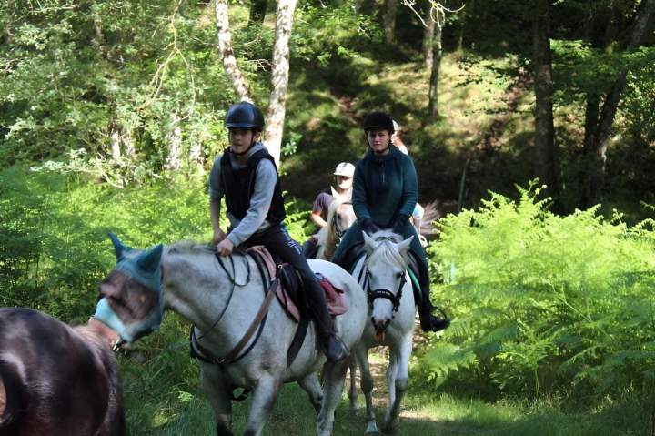 Accueil cavalier-randonneur Creuse