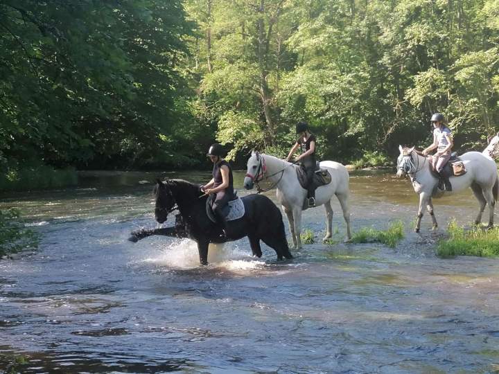 Randonnée à cheval Creuse