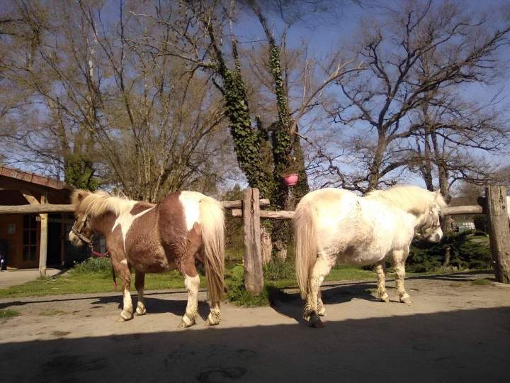 Randonnée équestre Creuse