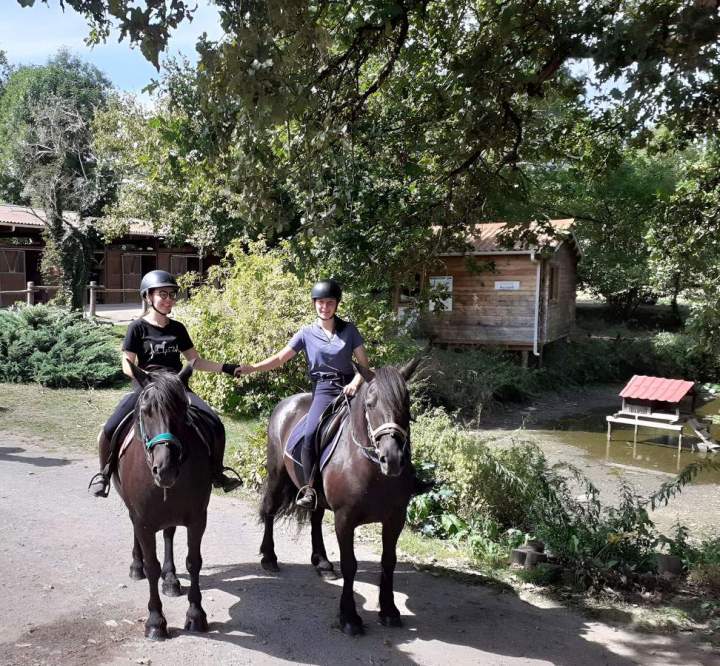 Séjour équestre Creuse