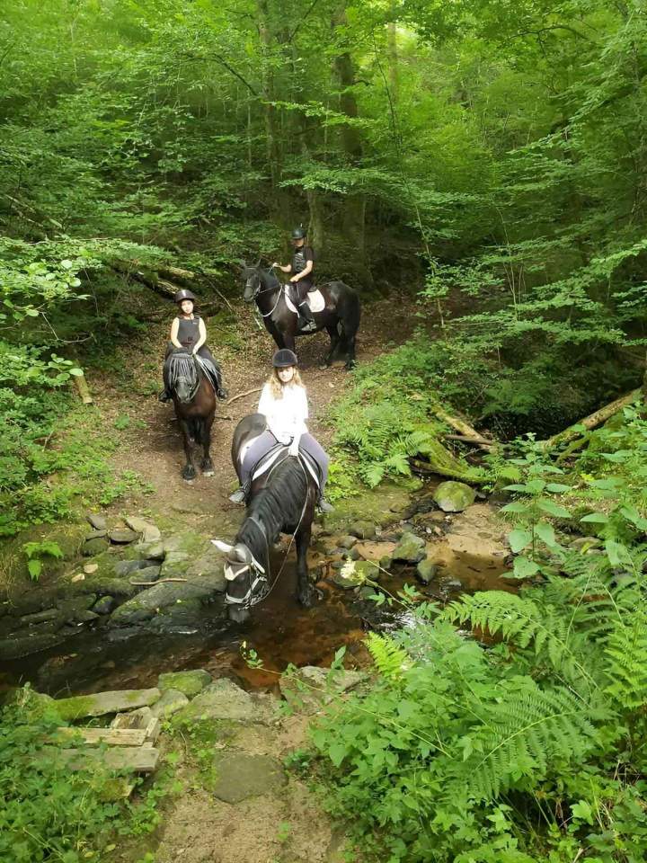  Aventure équestre Creuse