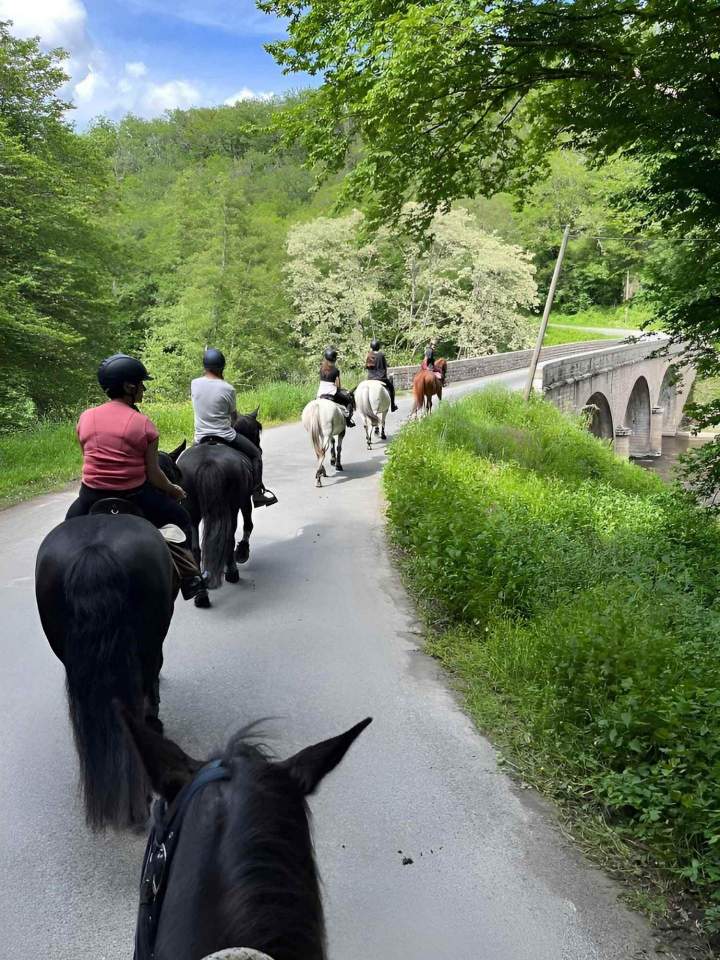 Accueil cavalier-randonnée Creuse