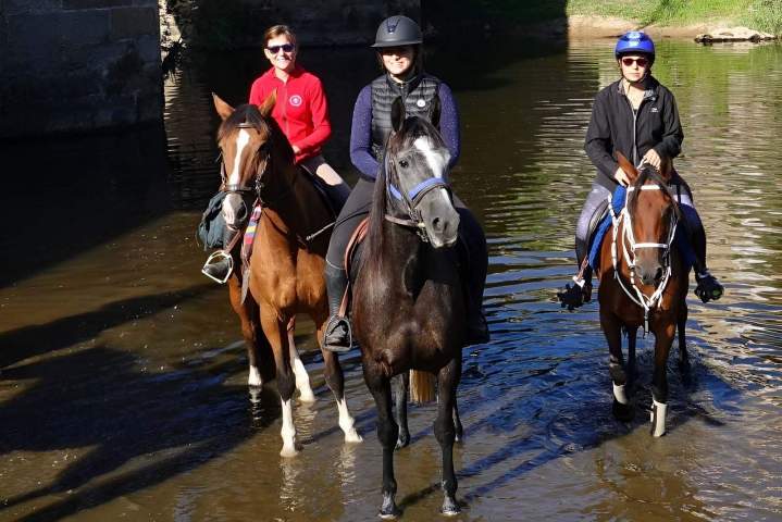 Randonnée équestre Creuse